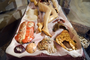 venerina museo di anatomia umana bologna 8-2022 4783
